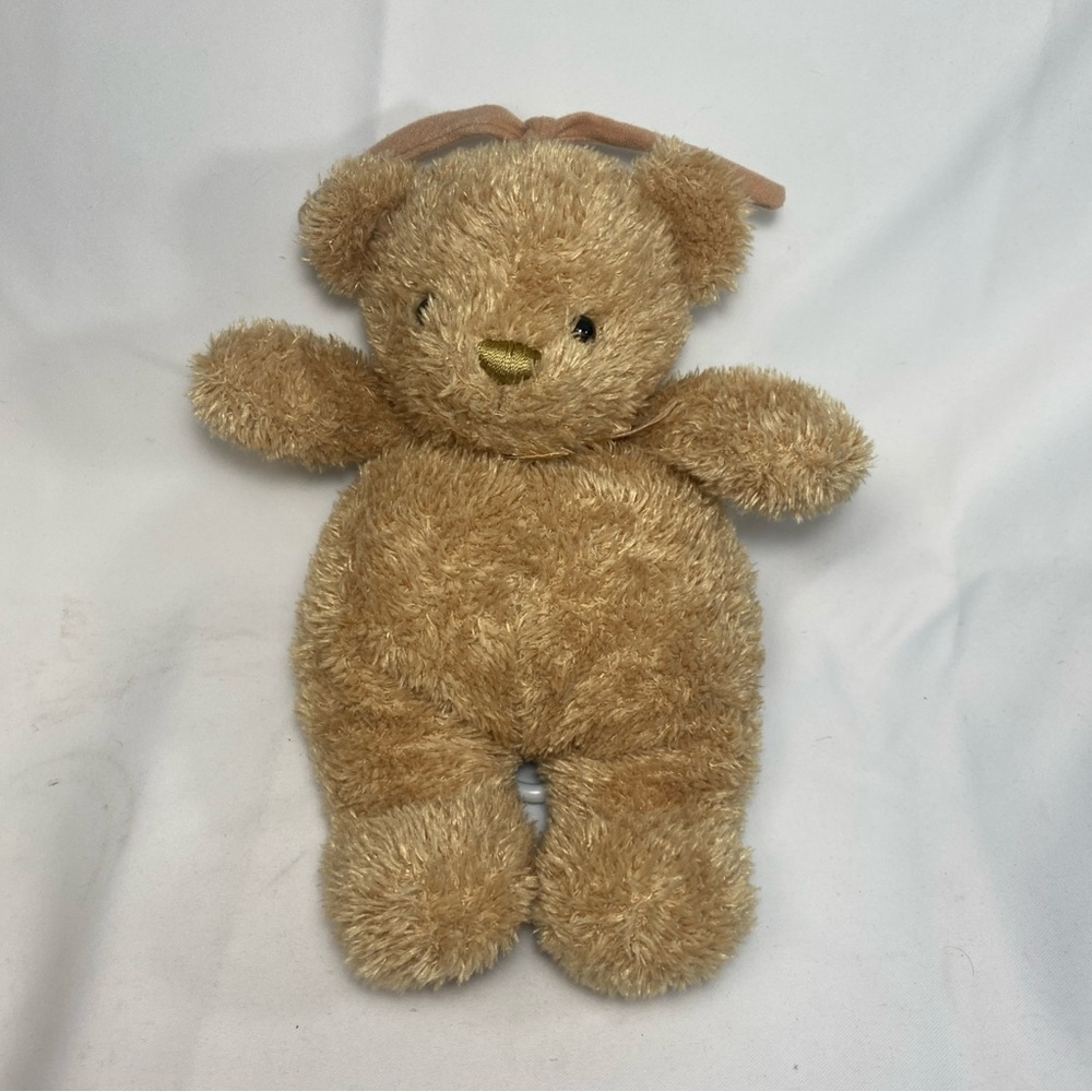 Carters Child Of Mine Musical Teddy Bear 11 inch Pull string cord Shaggy
